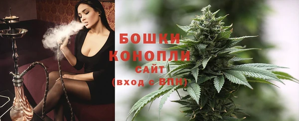 ECSTASY Богданович