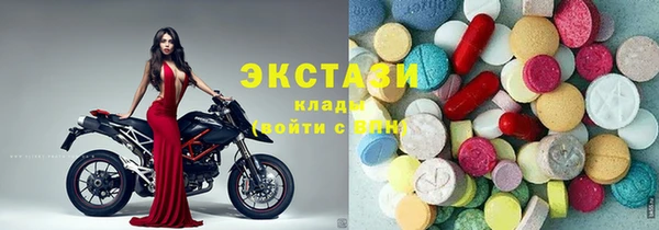 ECSTASY Богданович