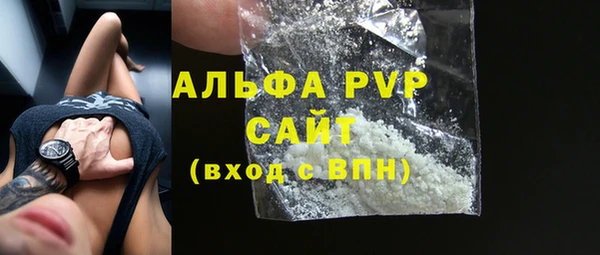 ECSTASY Богданович