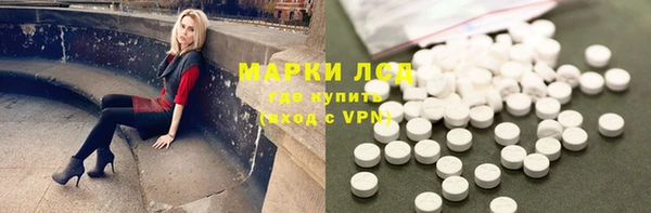 ECSTASY Богданович