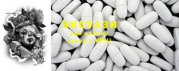 ECSTASY Богданович