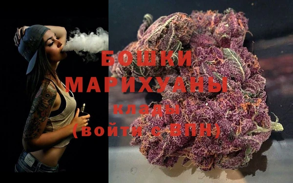 ECSTASY Богданович