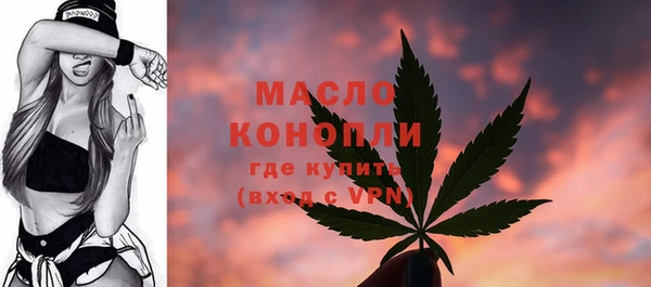 гашик Богородск