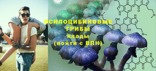 гашик Богородск