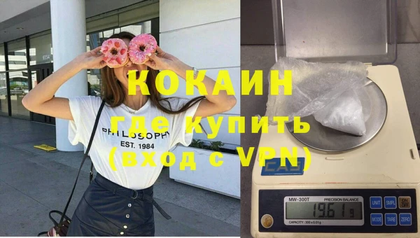 ECSTASY Богданович
