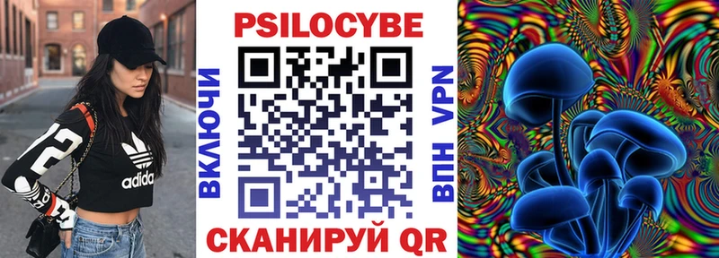 Купить закладки  Невинномысск  Галлюциногенные грибы мицелий 